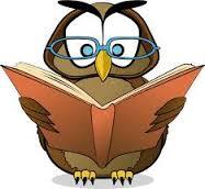 owl in glasses 